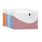 Túi hồ sơ nhựa nút bấm 2 ngăn DELI 5506