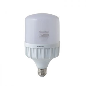 Bóng đèn led bulb trụ 30W Rạng Đông LED TR100N1 30W